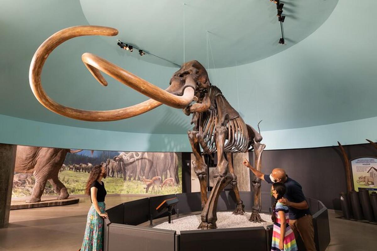 a statue of an elephant with large tusks in a museum