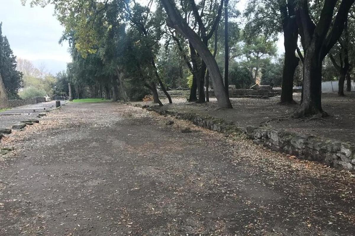 a dirt road in a park with trees