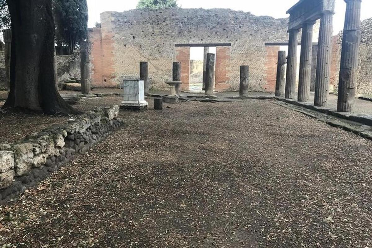 un cortile vuoto con un albero e un edificio