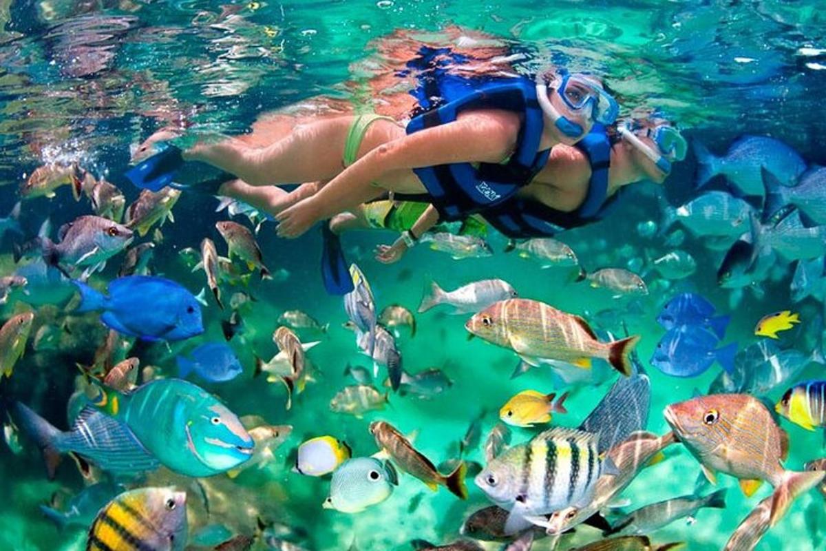 Attraction picture 6