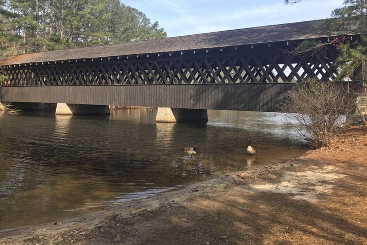 two ducks swimming in the water under a bridge