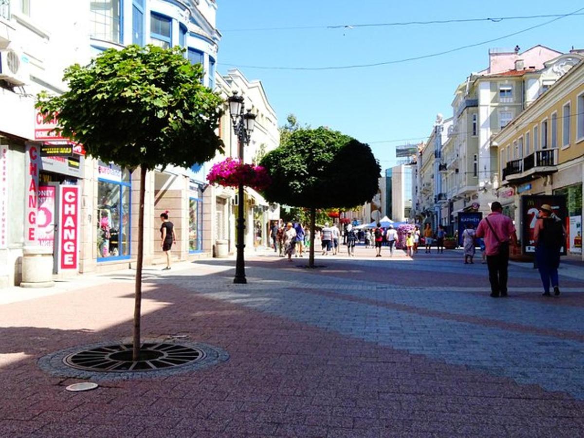 a street with two trees in the middle of a city