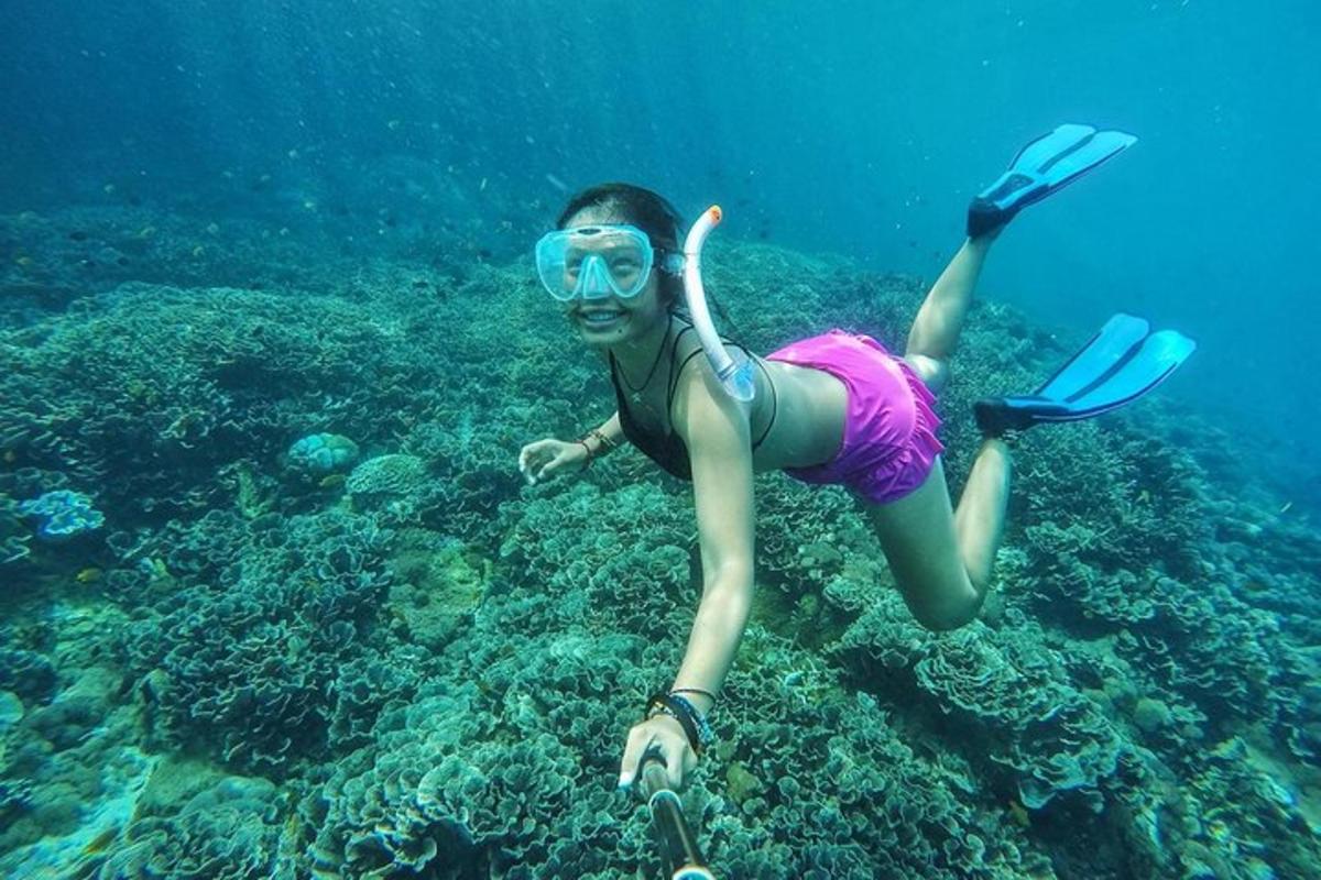 a person in a mask is swimming in the ocean