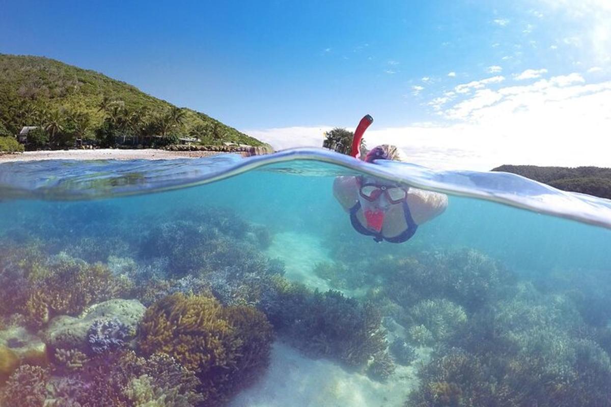 Lankytinos vietos ar pramogos nuotrauka numeris 2