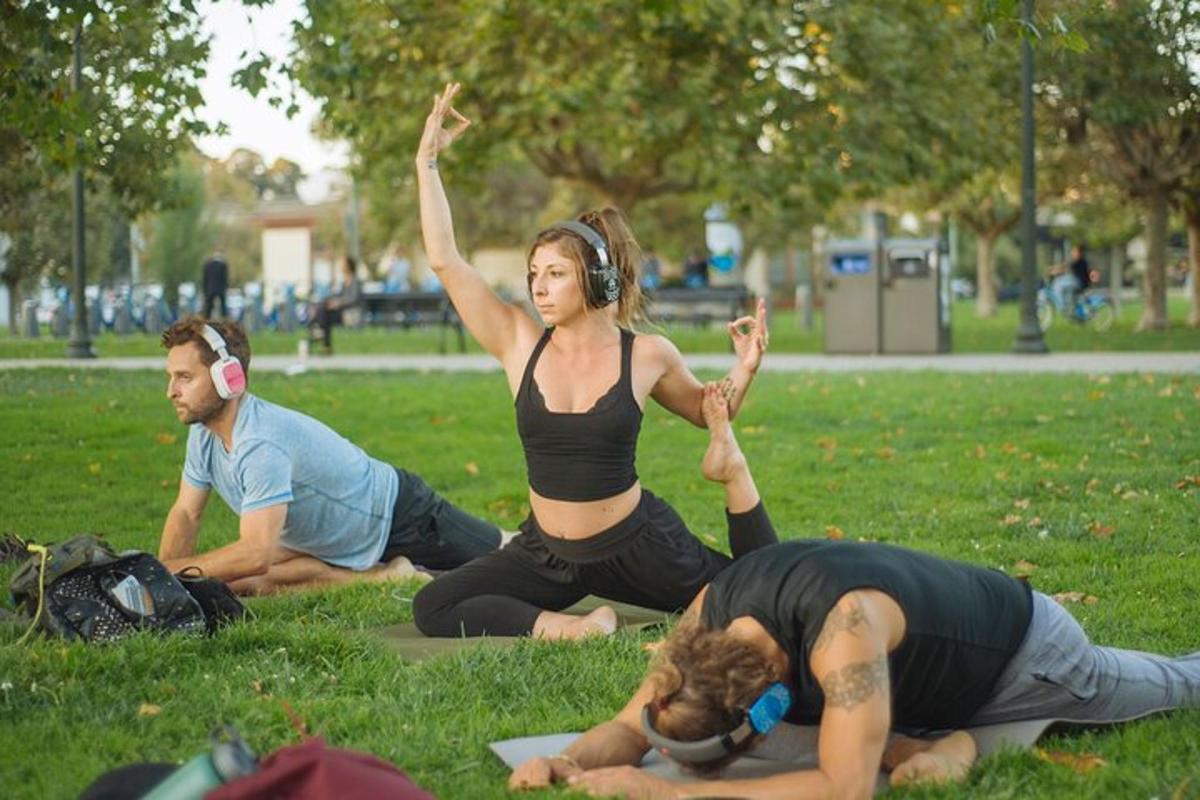 un grup de persones fent ioga en un parc