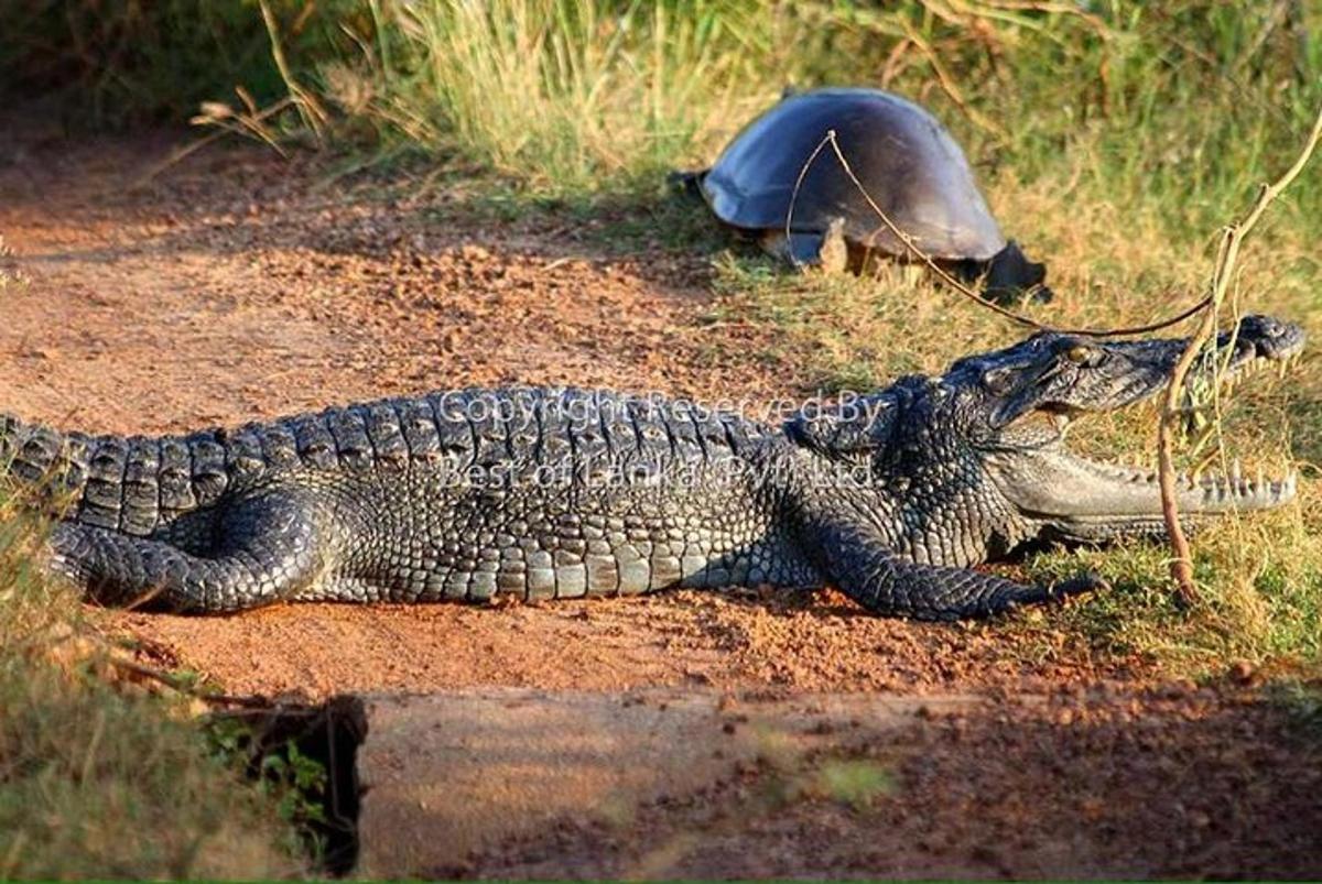 Turistik nokta fotoğrafı 7