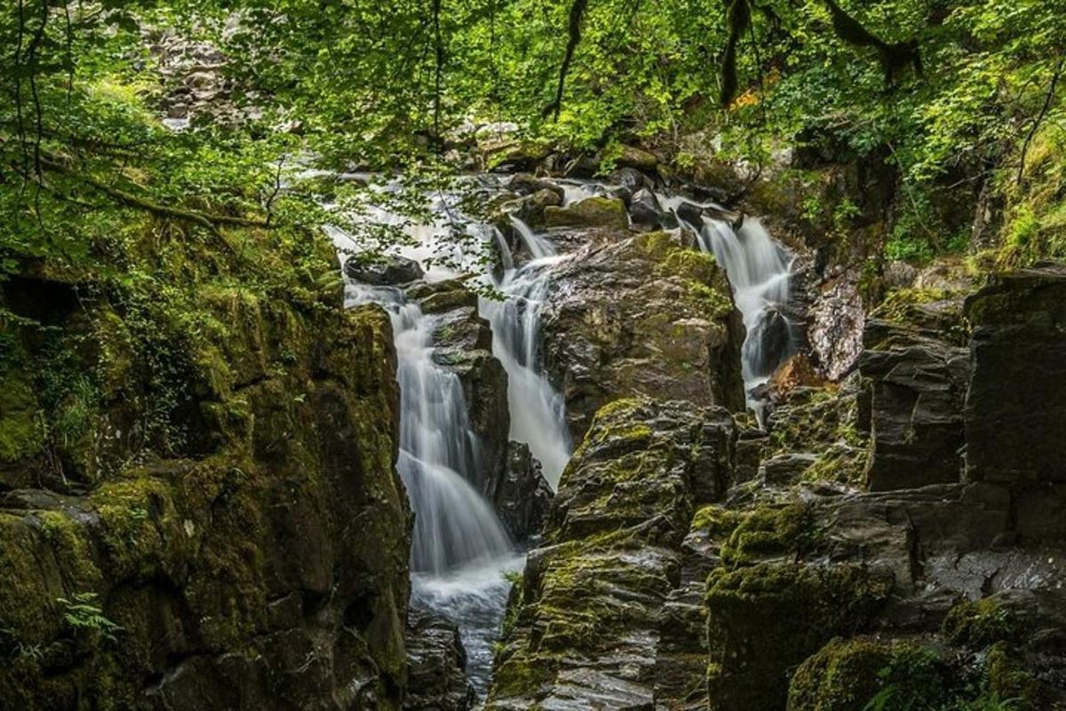 et vandfald midt i en skov