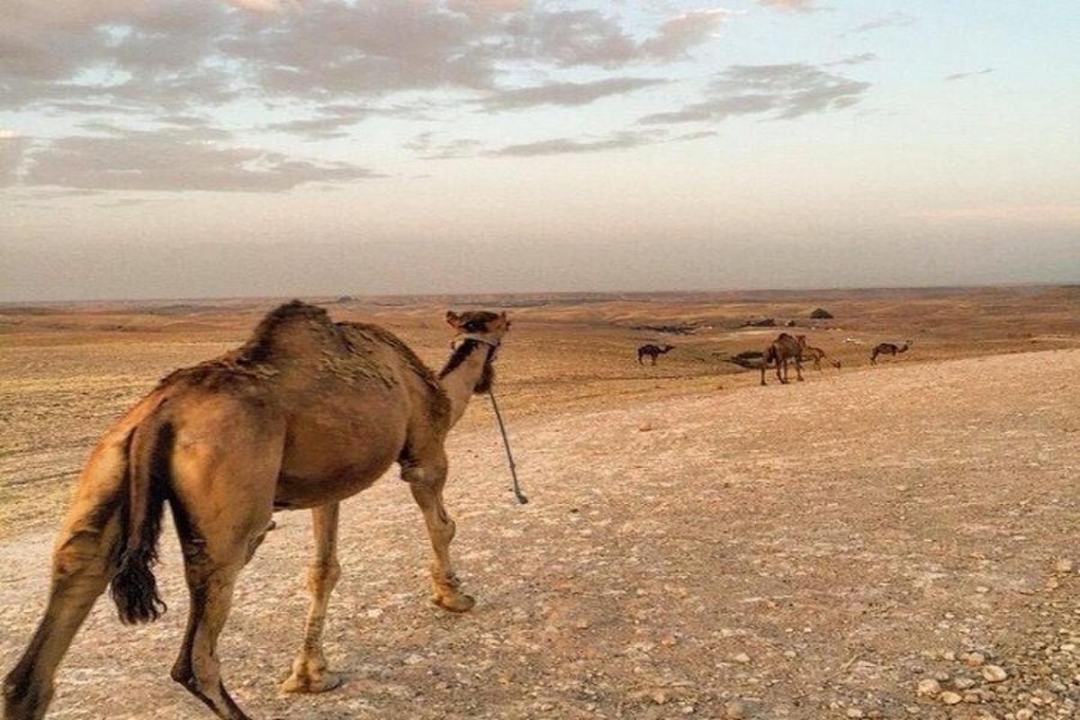 Turistik nokta fotoğrafı 2