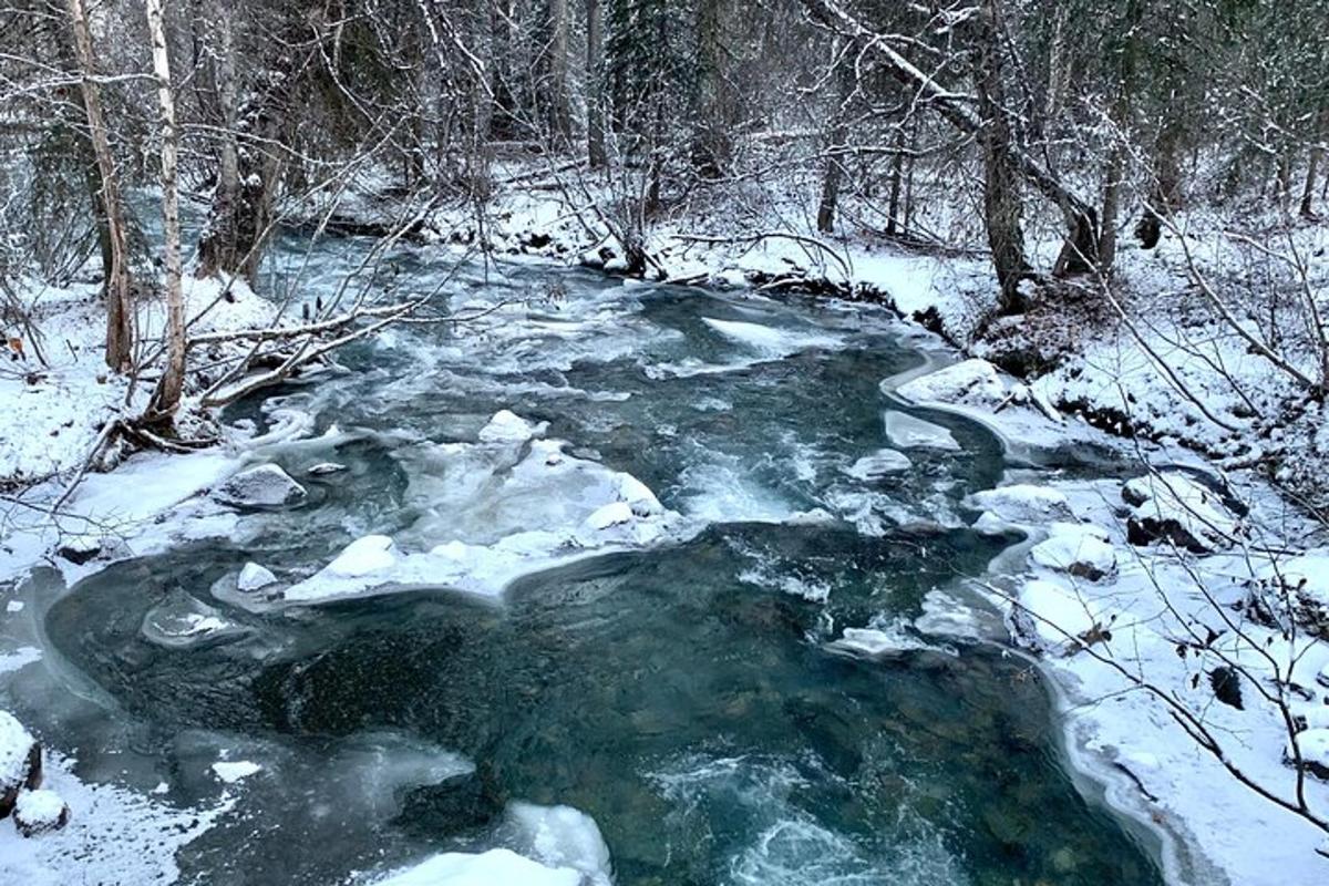 a stream of water with snow on the ground