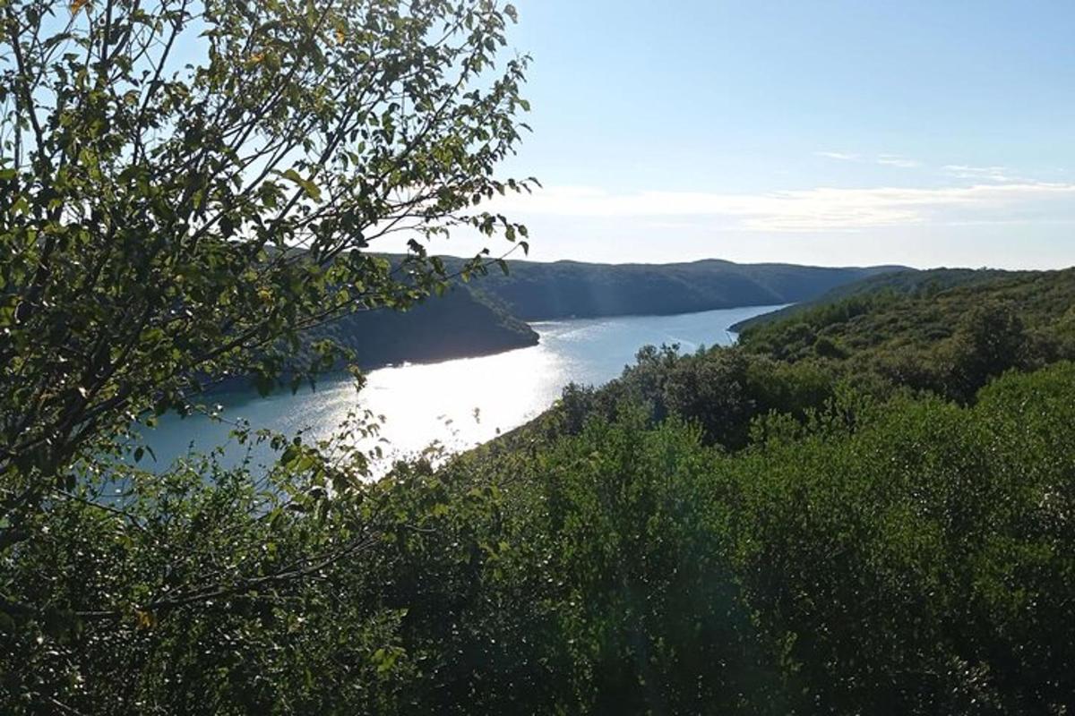 ein Blick auf einen Fluss mit Bäumen im Vordergrund