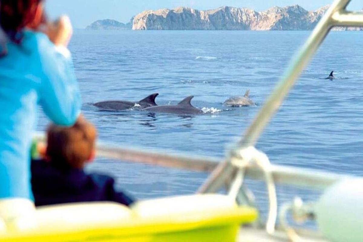 Lankytinos vietos ar pramogos nuotrauka numeris 7