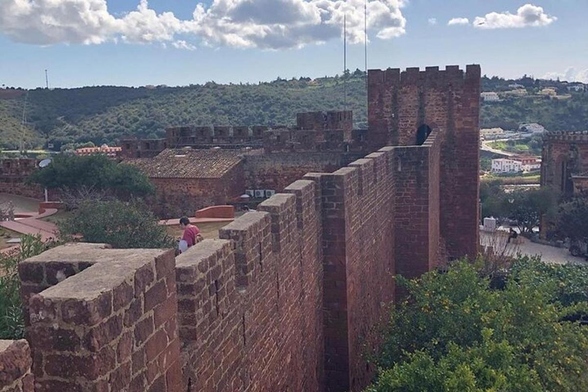 oseba, ki stoji na vrhu opečne stene