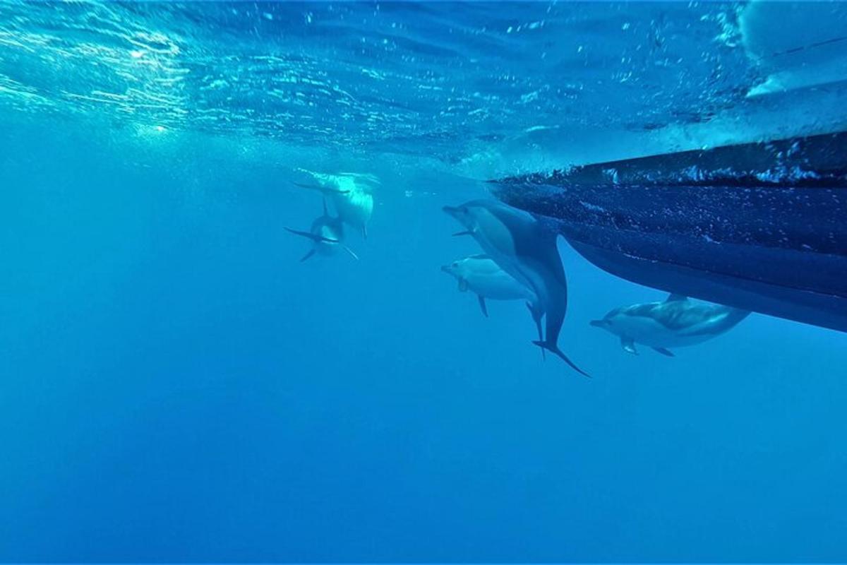 Lankytinos vietos ar pramogos nuotrauka numeris 6