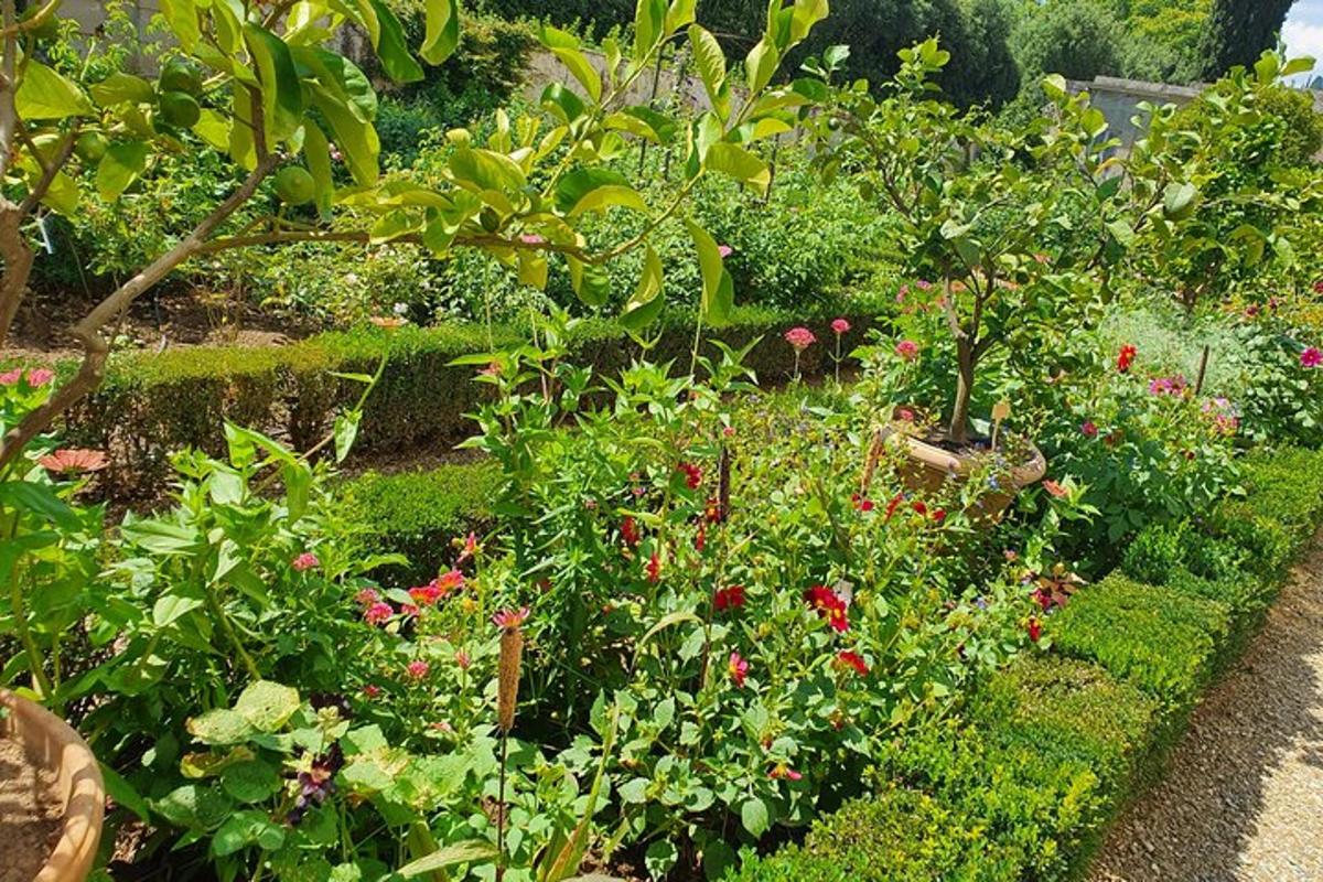 en have fyldt med masser af blomster og planter