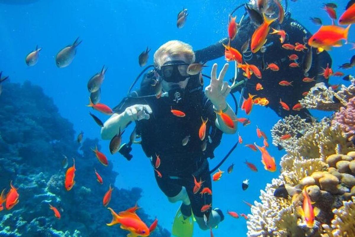 un sub nell'oceano con un banco di pesci