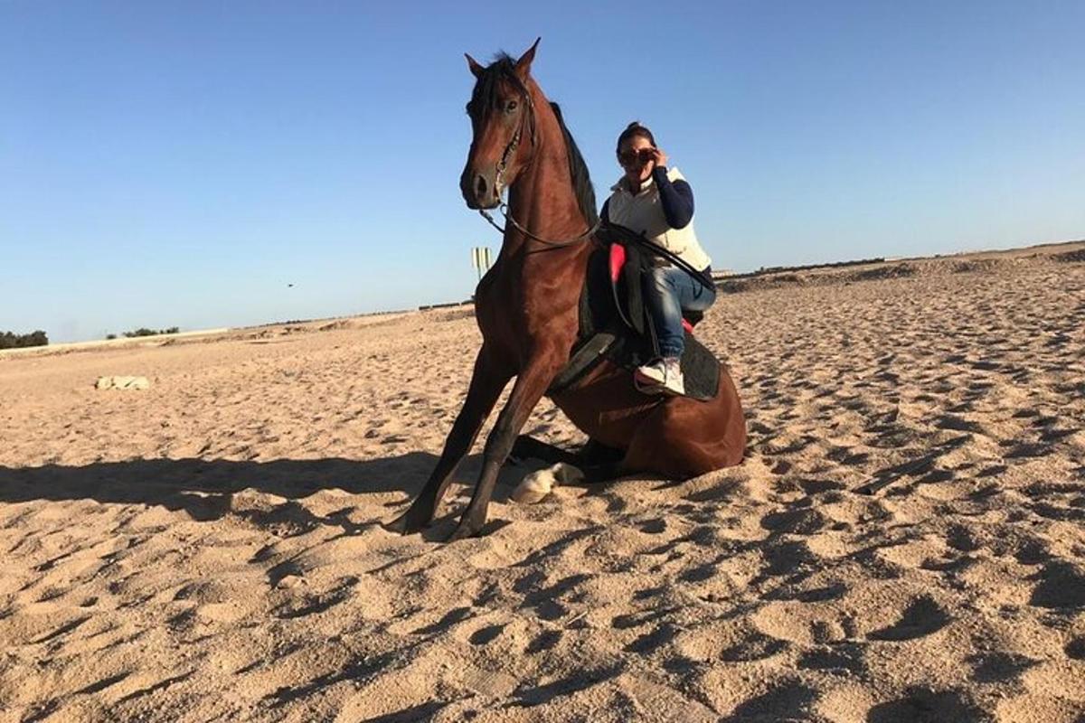 un homme à cheval sur la plage