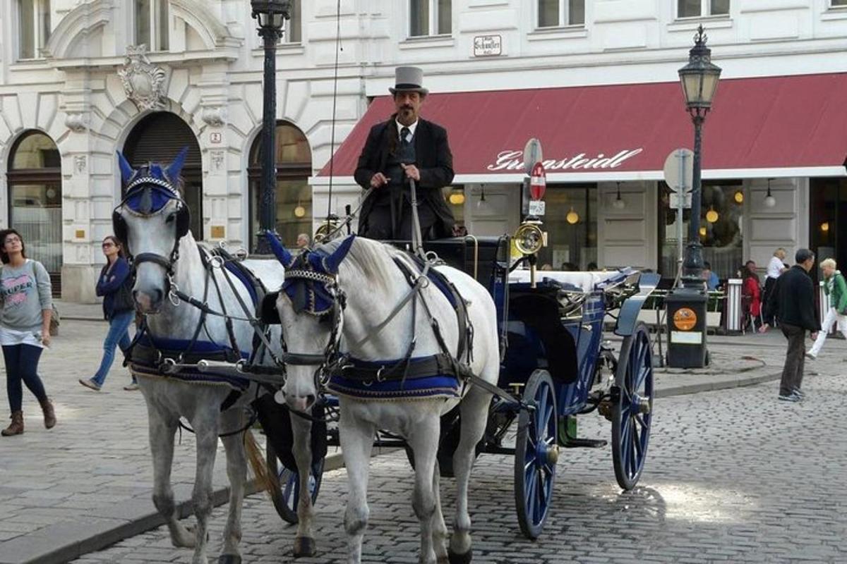 due cavalli bianchi che trainano una carrozza su una strada