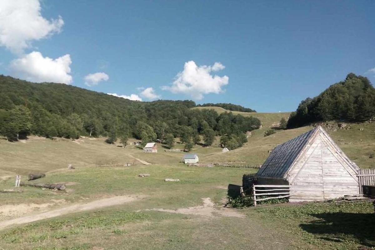 küngaga rohumaal asuv laut