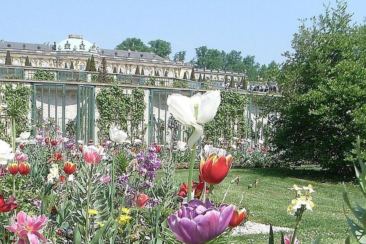 un giardino con fiori di fronte a un edificio