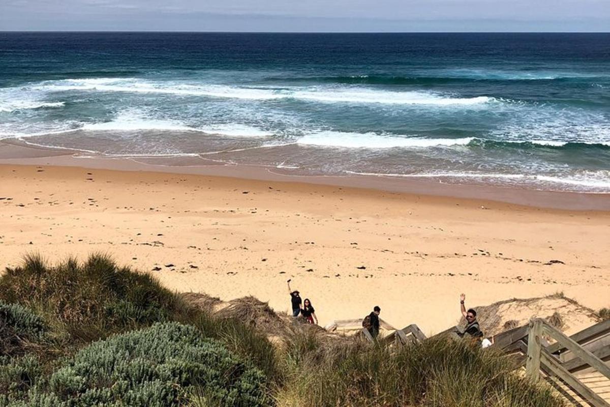 un grupo de personas de pie en una playa