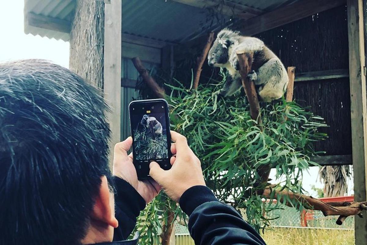 una persona tomando una foto de un animal de peluche con un teléfono celular