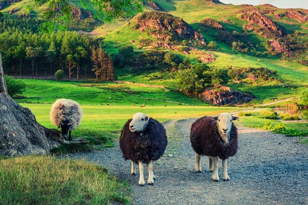 Turistik nokta fotoğrafı 6