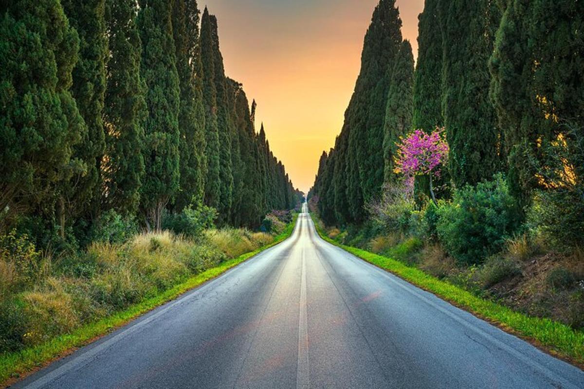 una carretera buida amb arbres a banda i banda