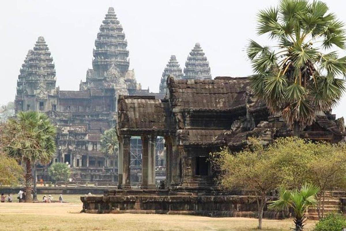 một ngôi đền có một cây cọ ở phía trước