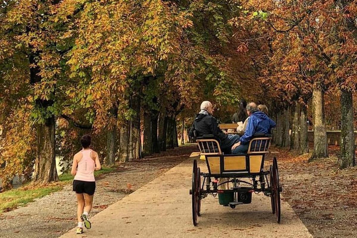 un grup de persones assegudes en un carruatge en un parc