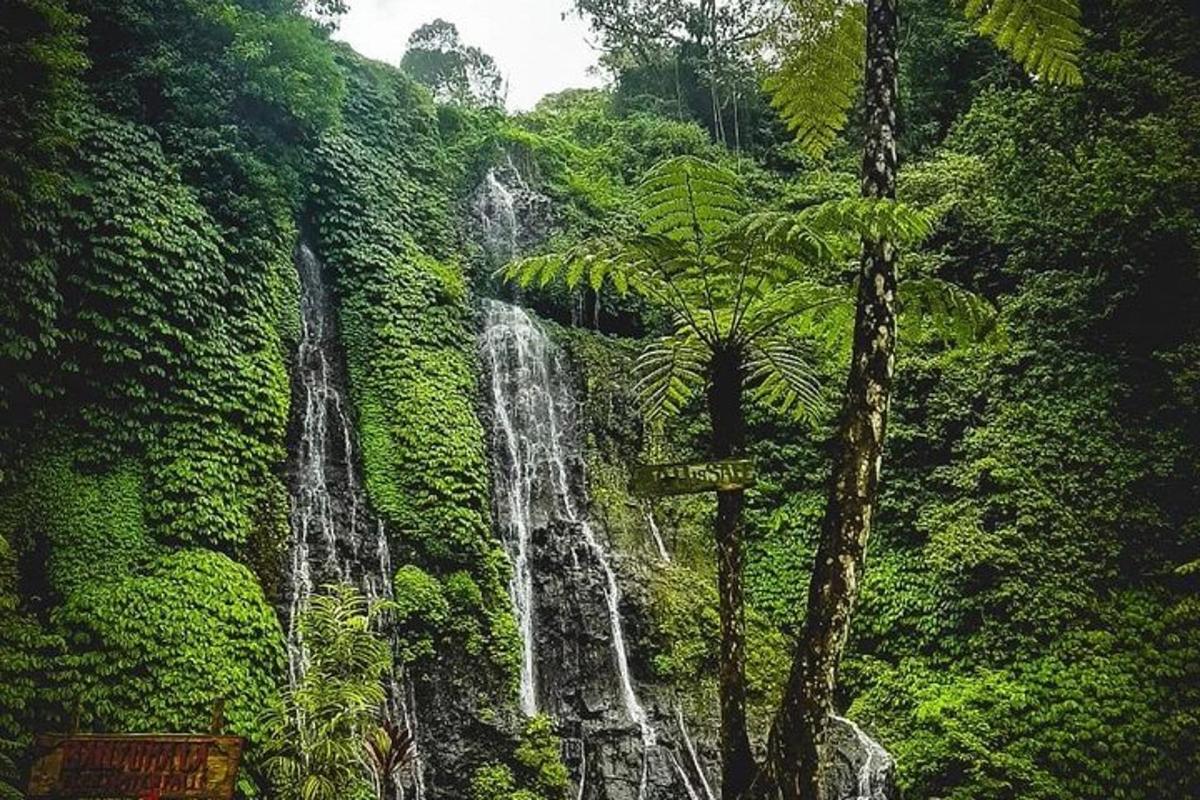 lukisan air terjun di dalam hutan