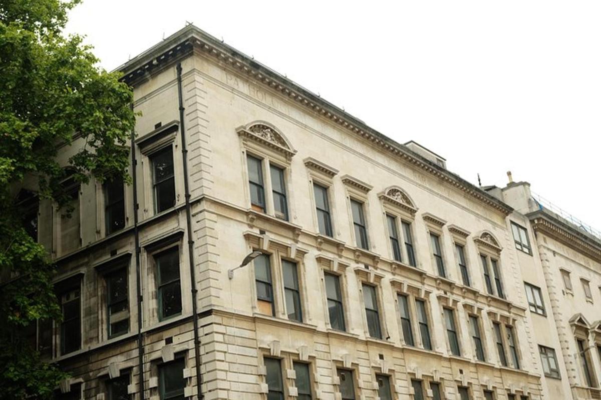un grande edificio bianco con molte finestre