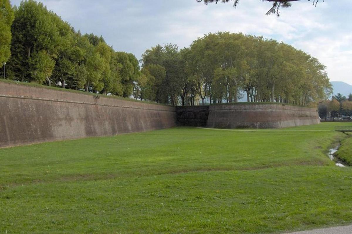 uma parede em um campo com árvores ao fundo