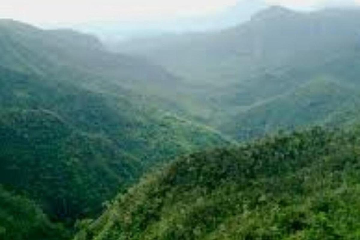 una vista di una collina verde con nebbia e montagne