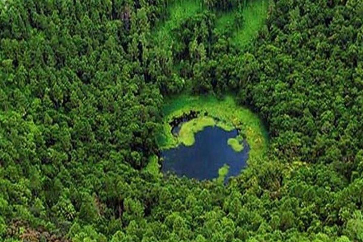 una vista aerea di un lago in mezzo a una foresta
