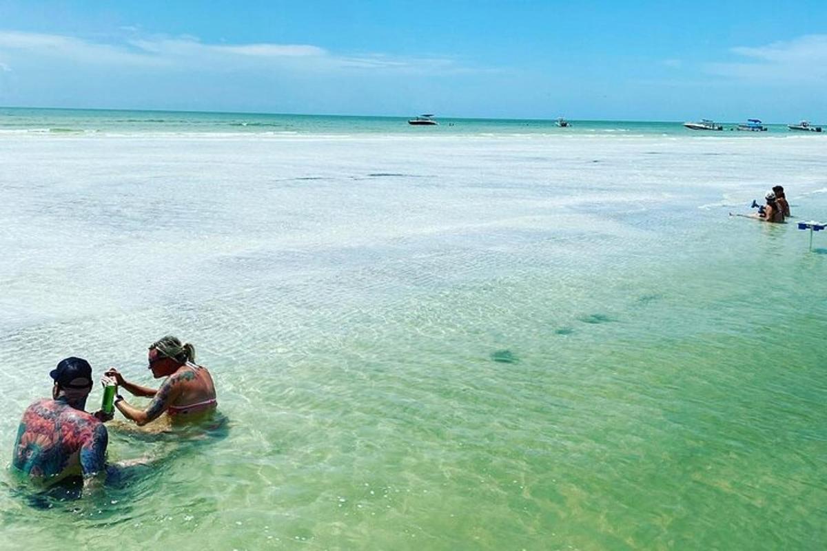 algumas pessoas na água em uma praia