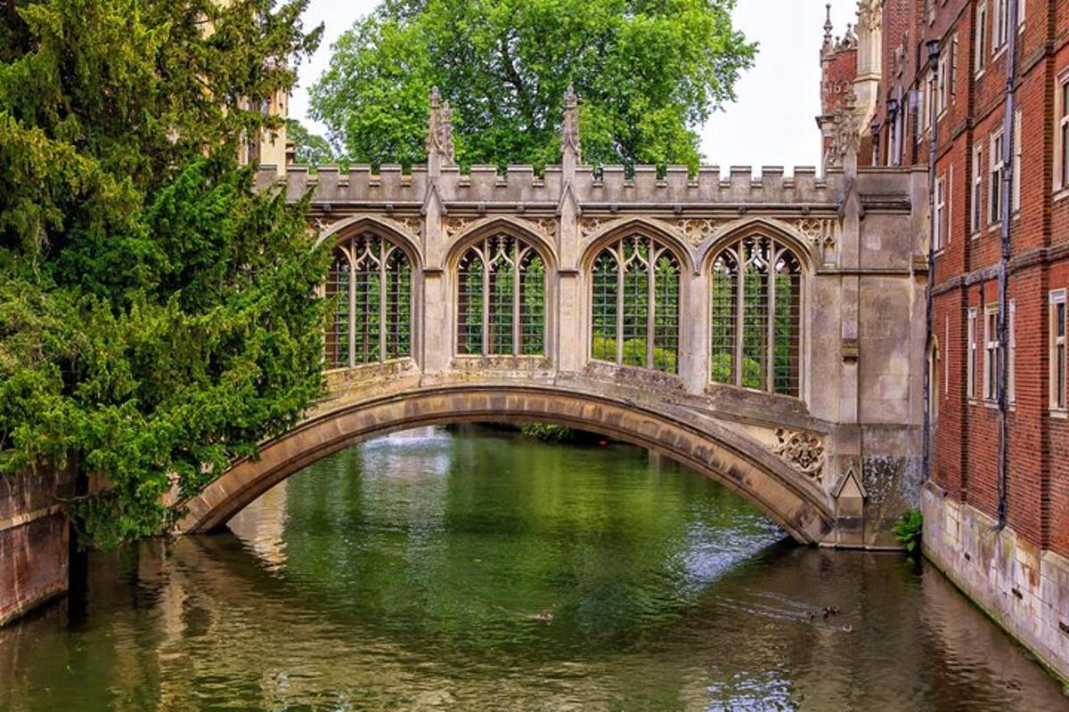 a bridge over a river in a city