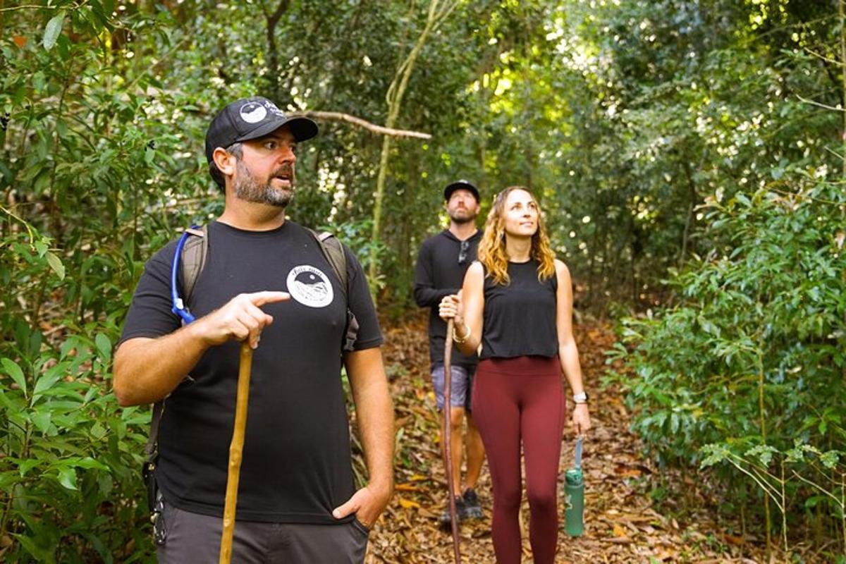 tre persone che camminano su un sentiero nel bosco