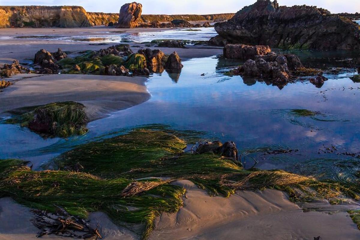 pantai dengan batu dan alga di dalam air