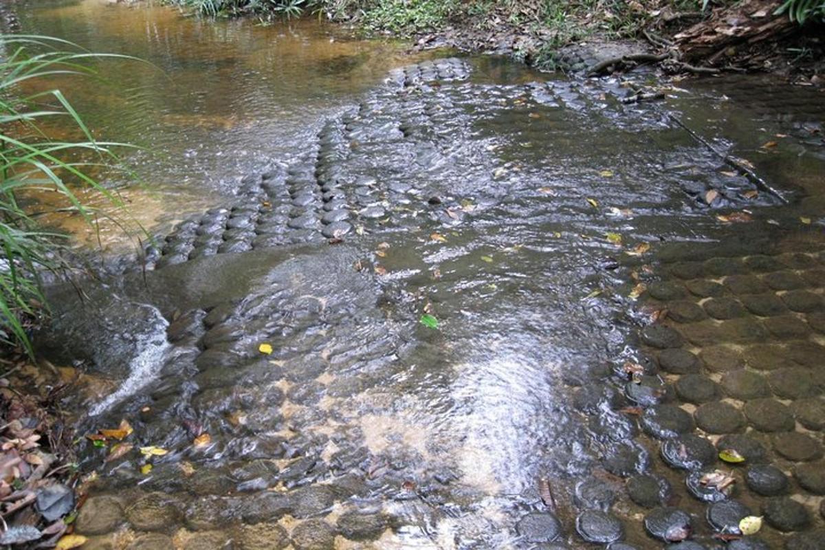 ein Wasserstrom mit Steinen in einem Fluss