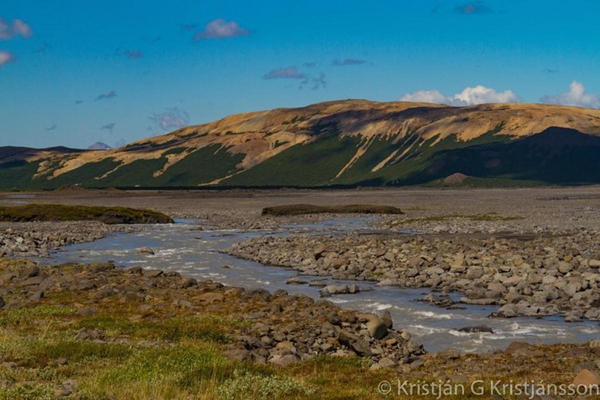 a river in a field with a mountain in the background