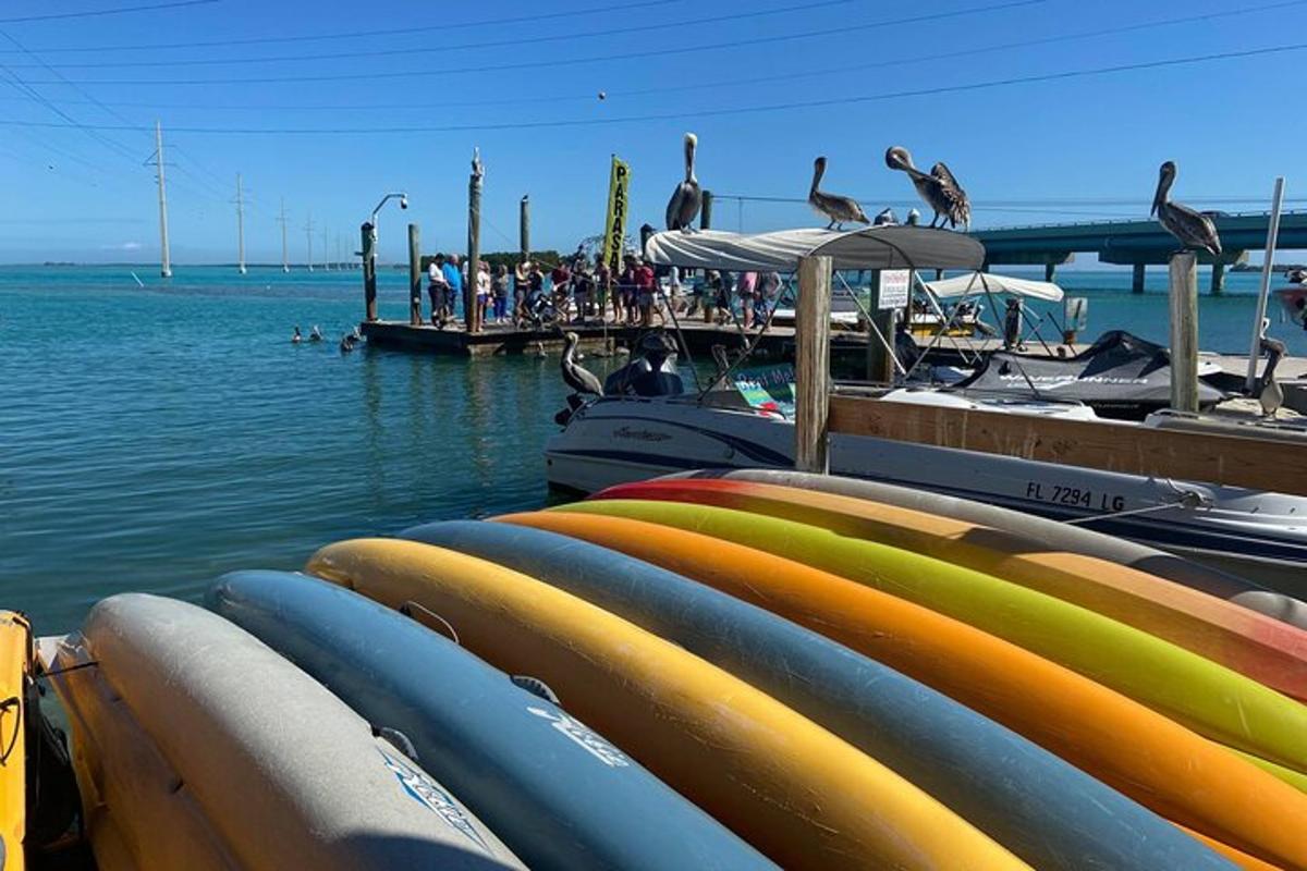 Un grupo de tablas de surf alineadas en un muelle