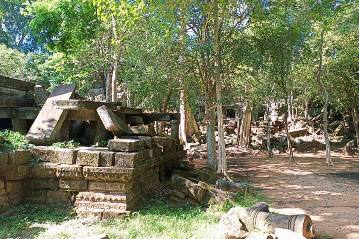 a stack of bricks in a forest with trees