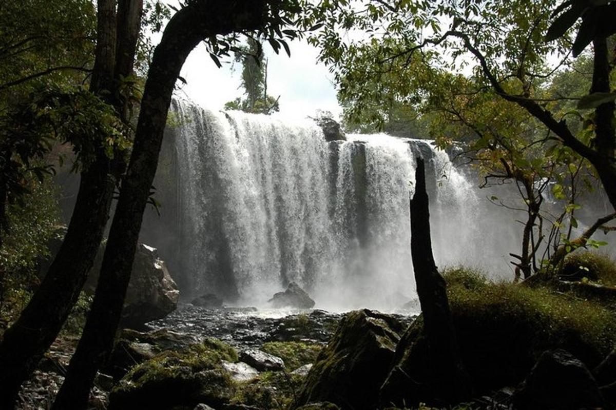 una cascata in mezzo a una foresta con alberi
