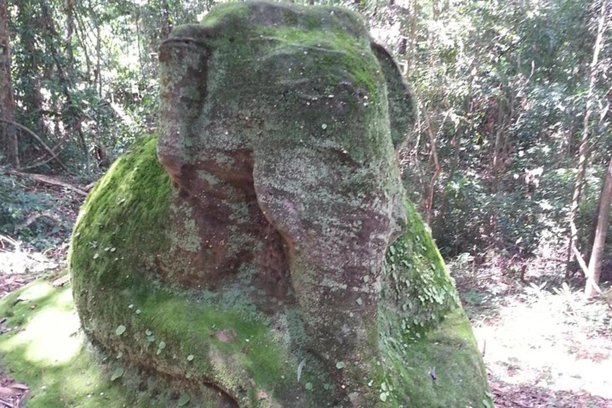 una estàtua de pedra al mig d'un bosc