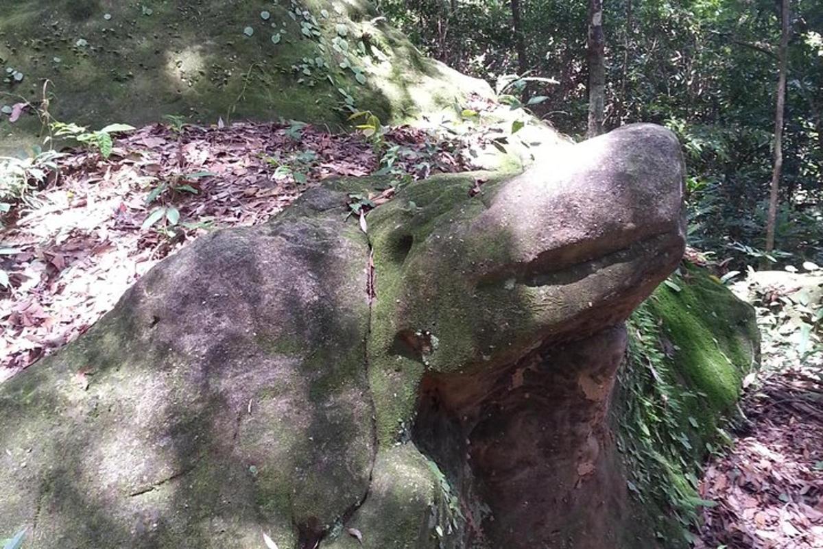una statua di un volto su una roccia nel bosco