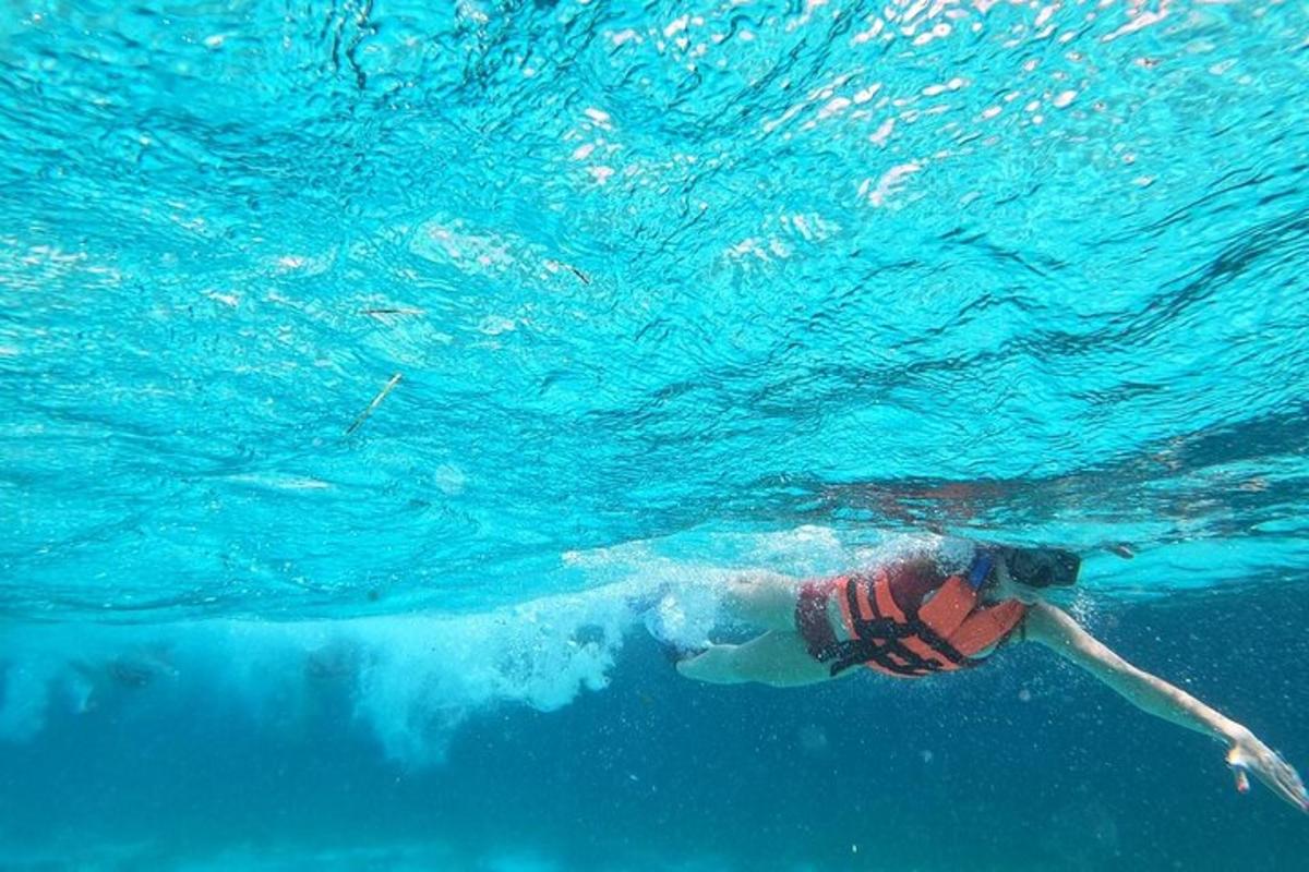 a person is swimming in the water