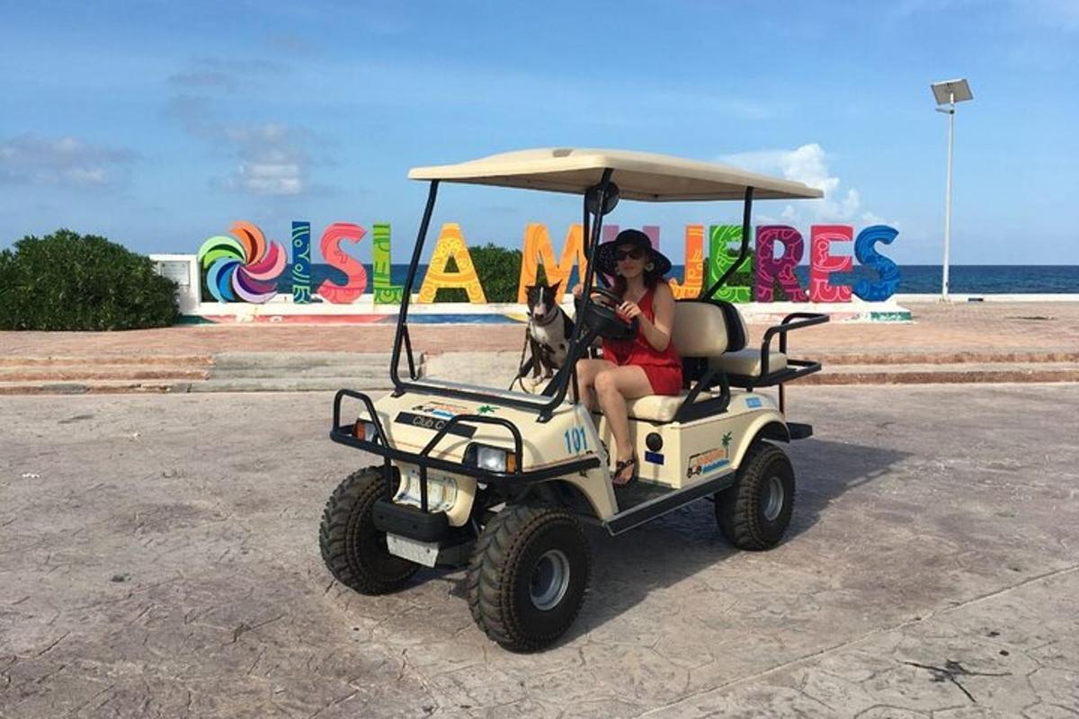 una donna seduta in un golf cart con un cane