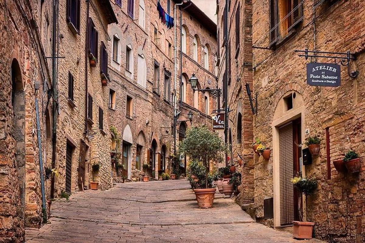 an alley with buildings and a potted tree on a street