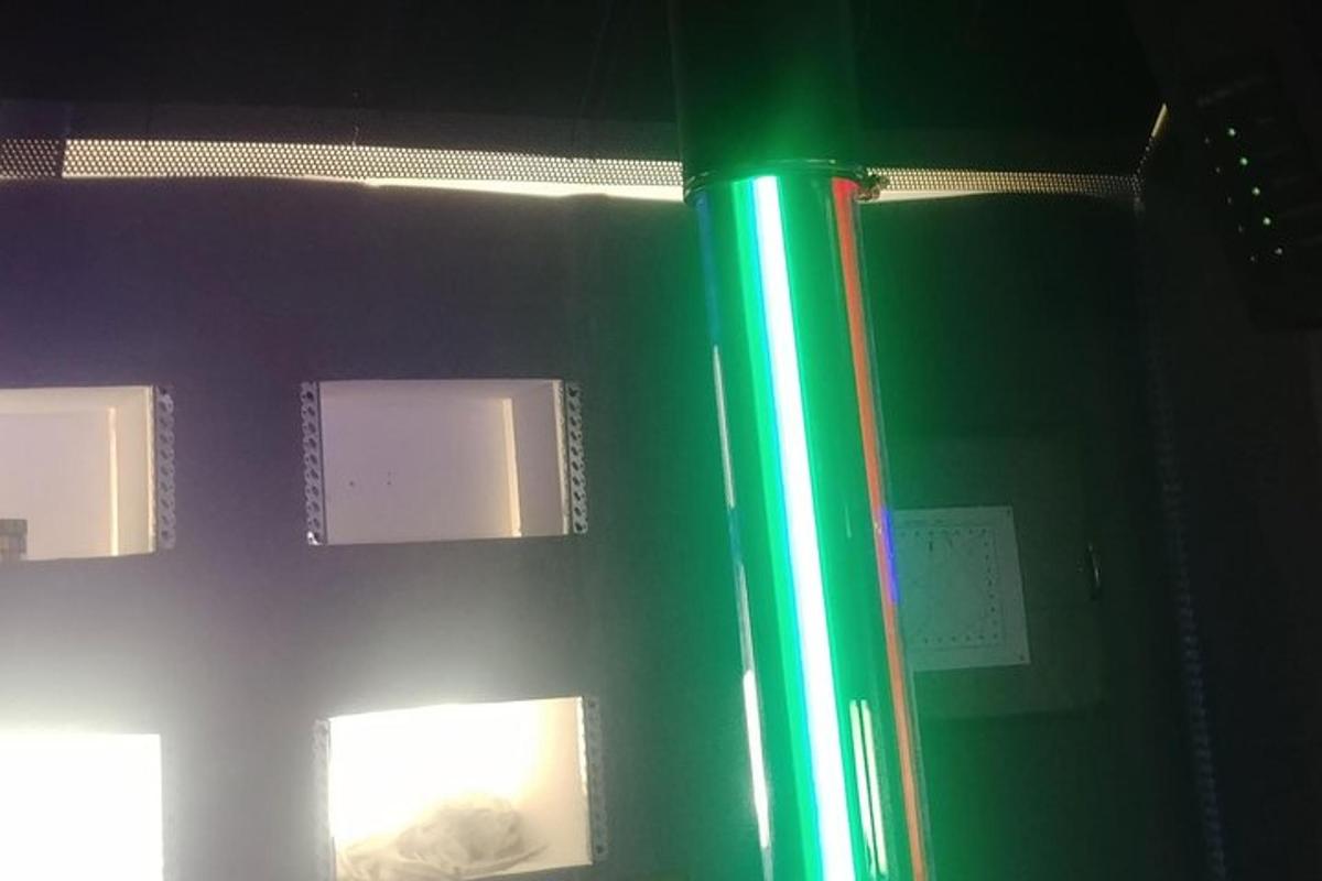 eine grüne Wand mit Fenstern in einem Raum