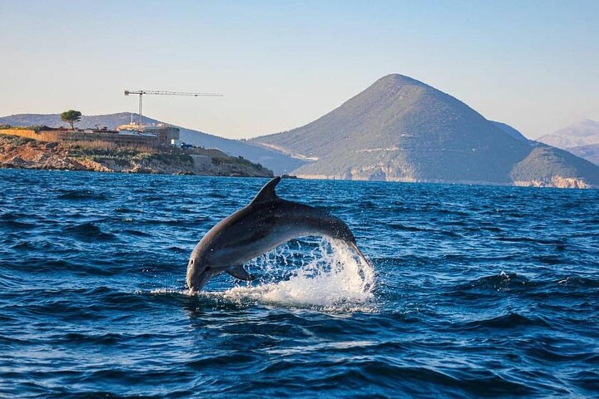 Lankytinos vietos ar pramogos nuotrauka numeris 2